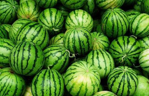 吃瓜今日必吃,今日必吃瓜，热点事件一网打尽