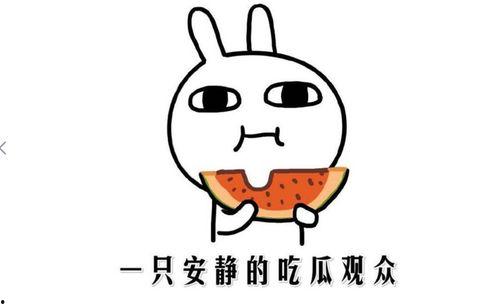 热门吃瓜事件在哪能看,全网热议，揭秘各大平台精彩瞬间