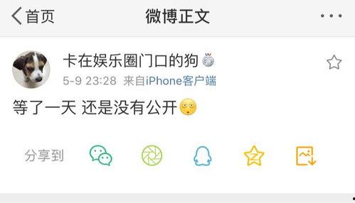 今日爆料在线吃瓜,在线吃瓜，揭秘娱乐圈幕后真相