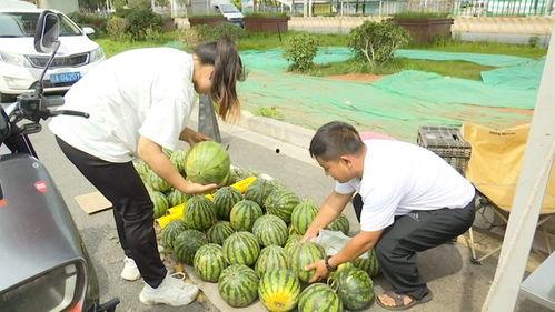 5今日吃瓜入口,热点事件深度解析