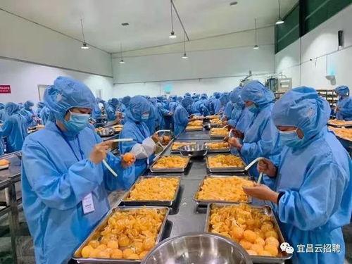 瓜沥今日招工长白班瓜沥,长白班职位火热招募中！”
