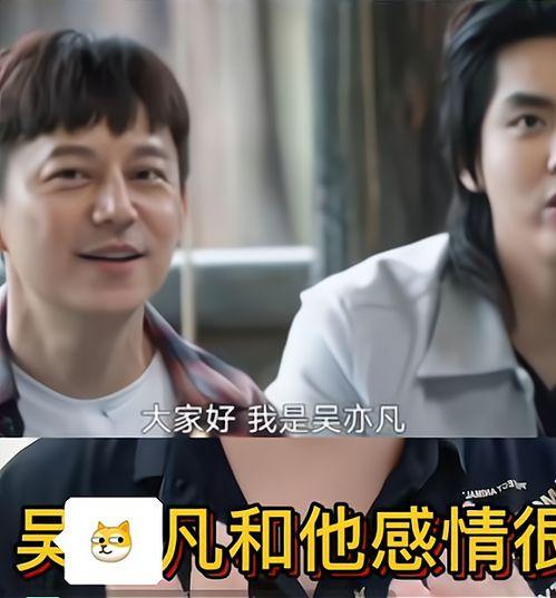 吃瓜视频大爆料合集免费观看,吃瓜视频大爆料合集免费观看，独家揭秘明星幕后故事