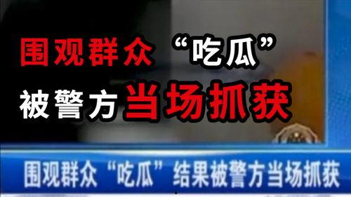 义乌吃瓜最新事件爆料新闻,揭秘背后真相与网络热议