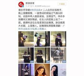 明星网红今天新闻事件,[事件关键词]引发热议