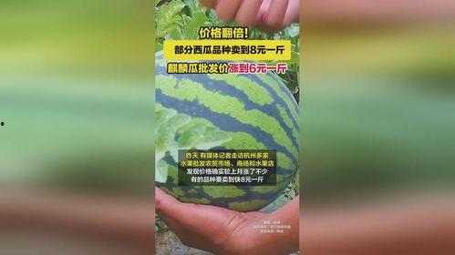 今日山东麒麟瓜批发,丰收季里的市场新宠