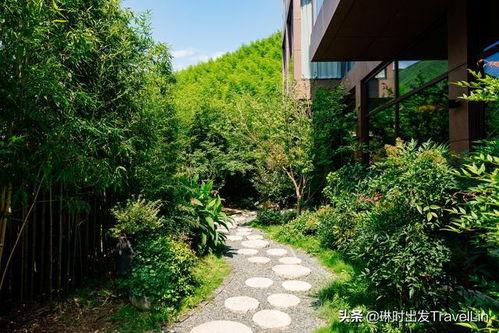 莫干山明星网红民宿,隐匿山林间的明星打卡胜地