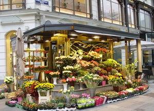 热门大瓜51唐山花店,揭秘花店背后的热门大瓜