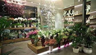 热门大瓜51唐山花店,揭秘花店背后的热门大瓜