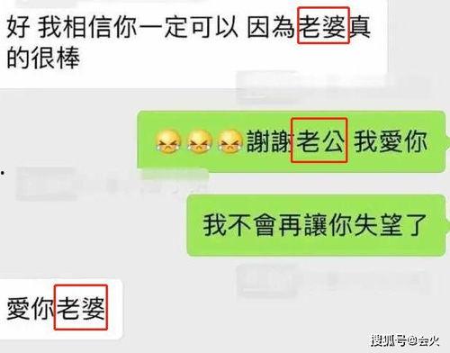 吃瓜爆料节目叫什么名字,揭秘娱乐圈幕后真相