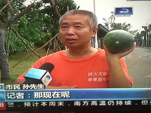 近期吃瓜热门事件是什么,这场风波背后的真相令人咋舌