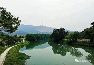 热门大瓜福建莆田市,揭秘热门大瓜背后的真相与影响