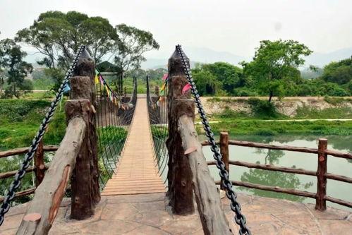 热门大瓜福建莆田市,揭秘热门大瓜背后的真相与影响