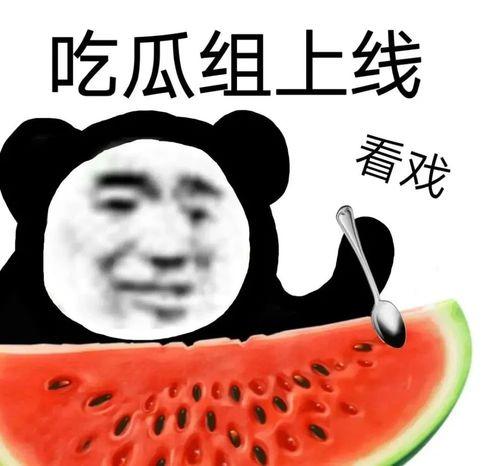 黑瓜吃料正能量官网蘑菇,探索蘑菇的神奇世界，开启健康生活之旅