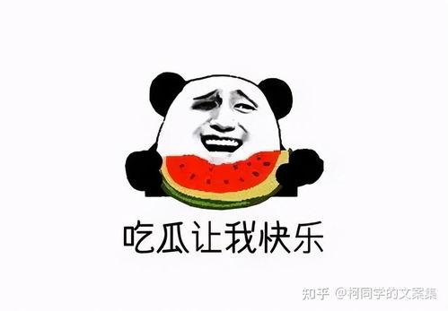 吃瓜群众今日吃瓜视频在线观看,揭秘热门视频背后的故事
