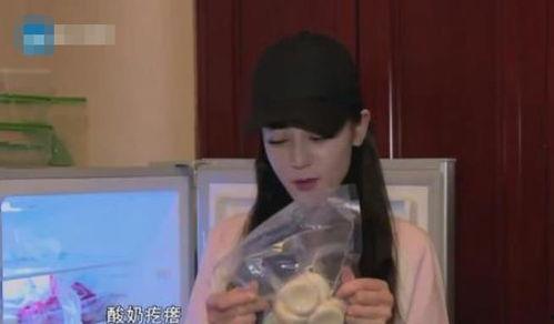 明星网红酸奶是谁,明星网红酸奶背后的神秘品牌