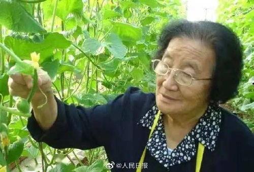 黑瓜吃料网怎么搜不到了,黑瓜吃料网搜索失效之谜揭秘