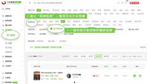 飞瓜查热门视频怎么下载,轻松获取热门内容