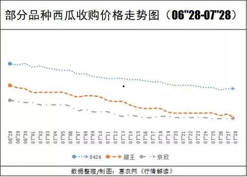 次瓜价格今日行情,涨跌背后的市场动态”