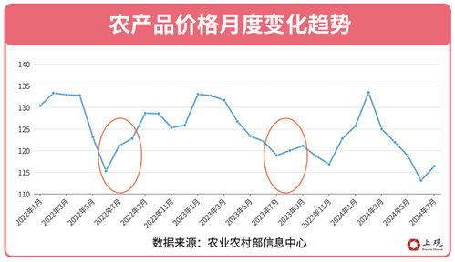 次瓜价格今日行情,涨跌背后的市场动态”