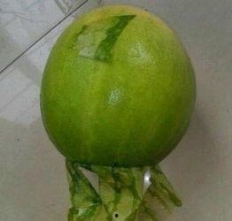 今日滕州吃瓜事件,一场网络热议背后的真相揭秘