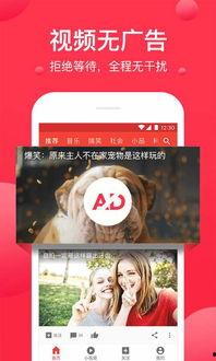 飞瓜热门歌曲推荐视频大全,盘点全网热门音乐视频精选