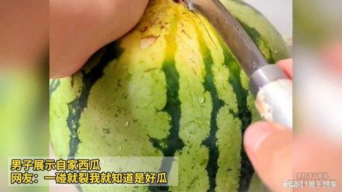 会长吃瓜爆料是真是假,真相还是谣言？一探究竟
