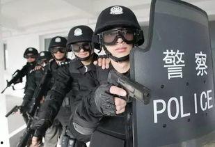 警察热门吃瓜事件真相,真相背后的法律与道德拷问