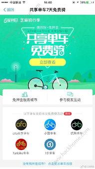 网传热门瓜支付宝,揭秘支付巨头背后的故事