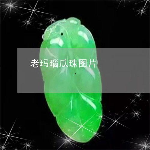 2023年今日瓜价,市场波动下的新鲜行情解析