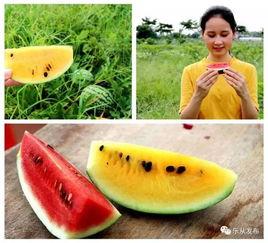 最近一周热门大瓜,热点事件盘点