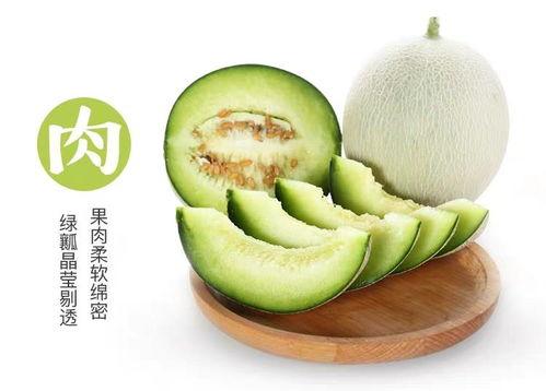 曦瓜热门产品怎么样,品质生活新选择，尽享科技魅力
