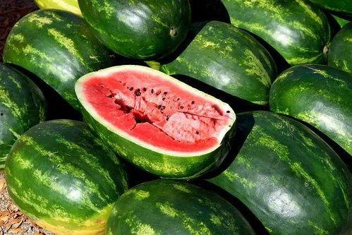 吃瓜素材爆料网站大全最新,最新吃瓜素材网站大全，一网打尽热门爆料！