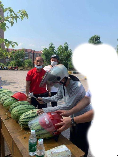 许昌今日吃瓜事件,网络热议背后的真相揭秘