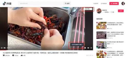 抖音热门大瓜黑料,真相与争议并存