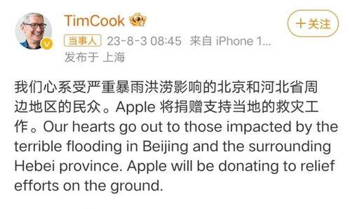 明星网红同义词,探寻同义词背后的魅力世界