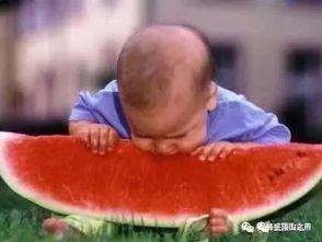 七夕吃瓜热门事件,盘点年度热门事件背后的瓜皮风云
