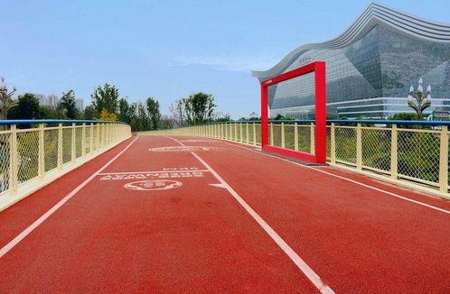 成都高新区热门学校瓜,名校荟萃，教育高地璀璨星光