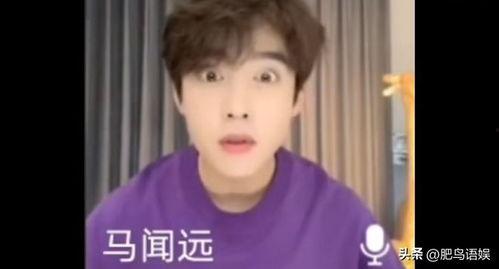 5吃瓜明星网红黑料,五大明星网红黑料大曝光