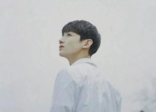 明星网红高科技,明星网红引领潮流新风向