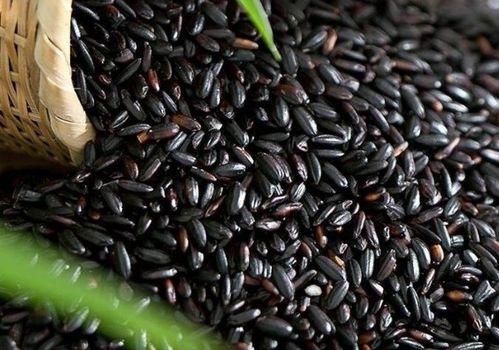 黑瓜吃料正能量官网最新,解锁健康生活新篇章