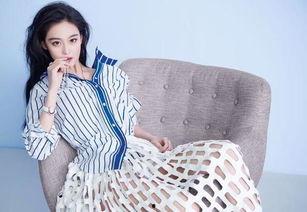 明星网红来哈尔滨了吗,共赴冰雪盛宴