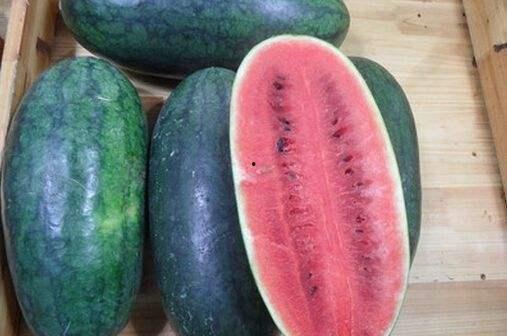 网红爆料吃瓜黑料正能量,吃瓜黑料中的正能量启示