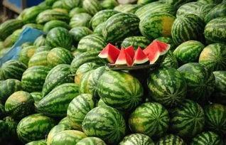 网红免费吃瓜黑料qq群,揭秘网络背后的真相