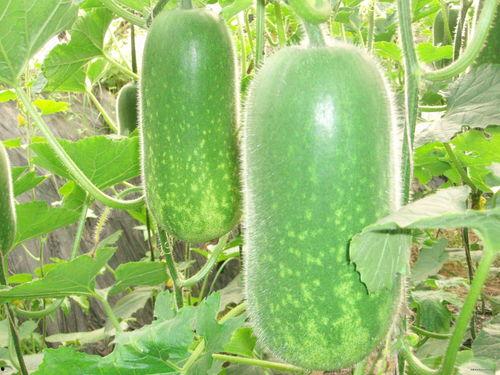 吃瓜爆料李现王一博,娱乐圈风云再起