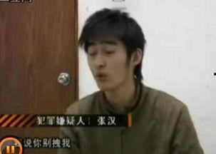 明星网红洗白视频,揭秘明星网红洗白视频背后的真相与策略