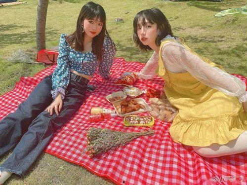 明星网红野餐图片高清,明星云集的户外美食派对瞬间