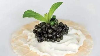 一起草吃瓜黑料,草吃瓜背后的黑料风波