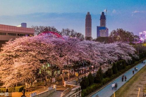 吃瓜爆料抖音网红mc