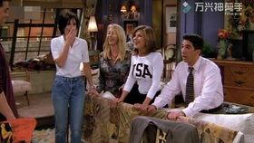 纽约吃瓜爆料事件真相,揭秘背后真相与争议