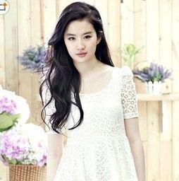 明星网红背景图,从平凡到闪耀的蜕变之路